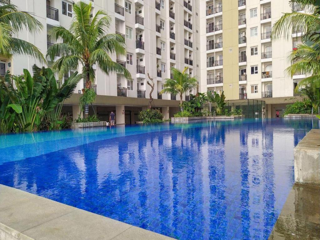 Cinere By Gold Resor